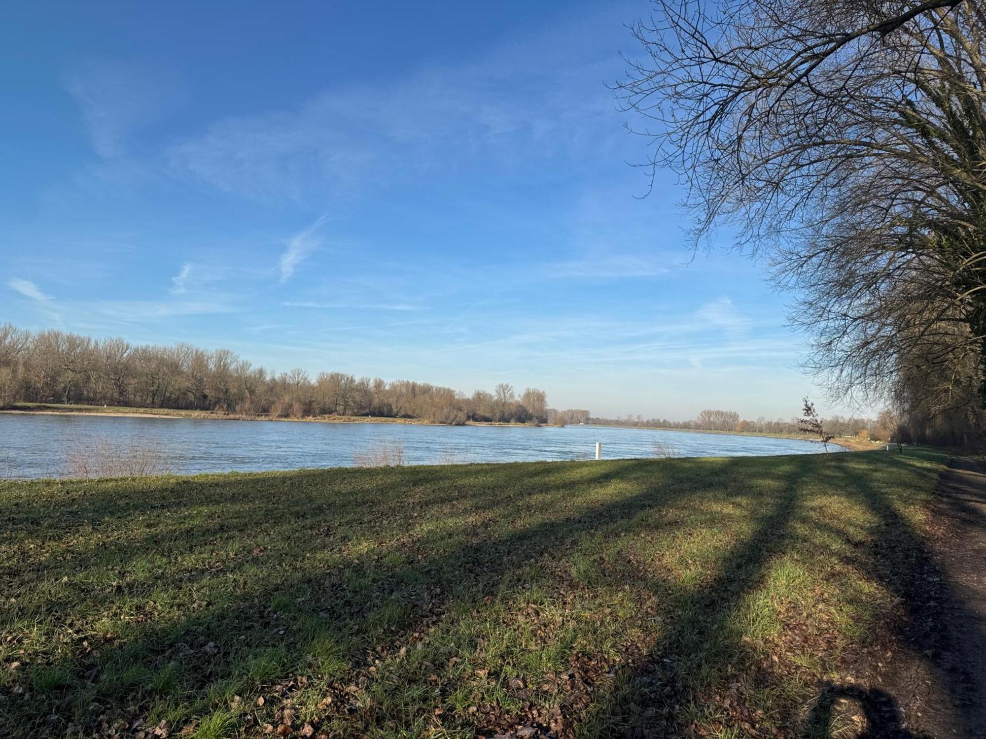 Ferienhaus Hoffmann Am Rheinbogen Altlussheim Buitenkant foto